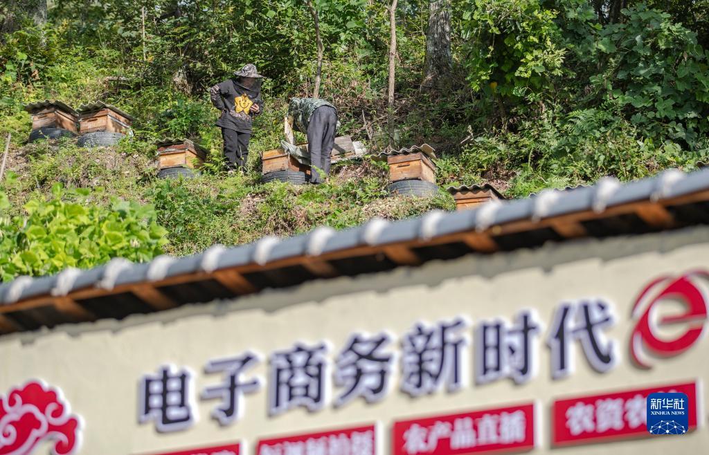 天狮卓越卡会员登录